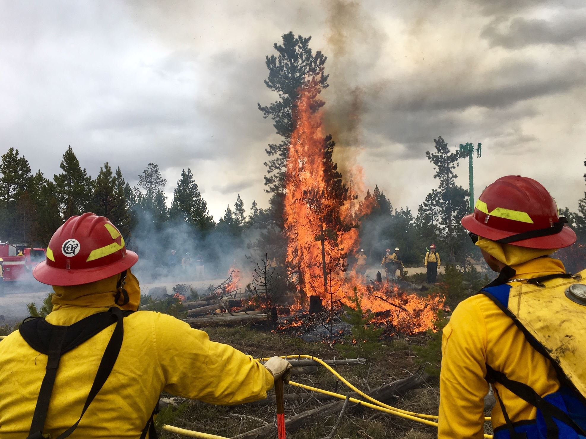 Picture of wildland fire training