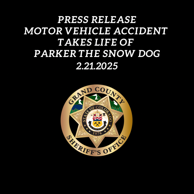 Motor Vehicle Accident Takes Life of Parker the Snow Dog 2-21-2025