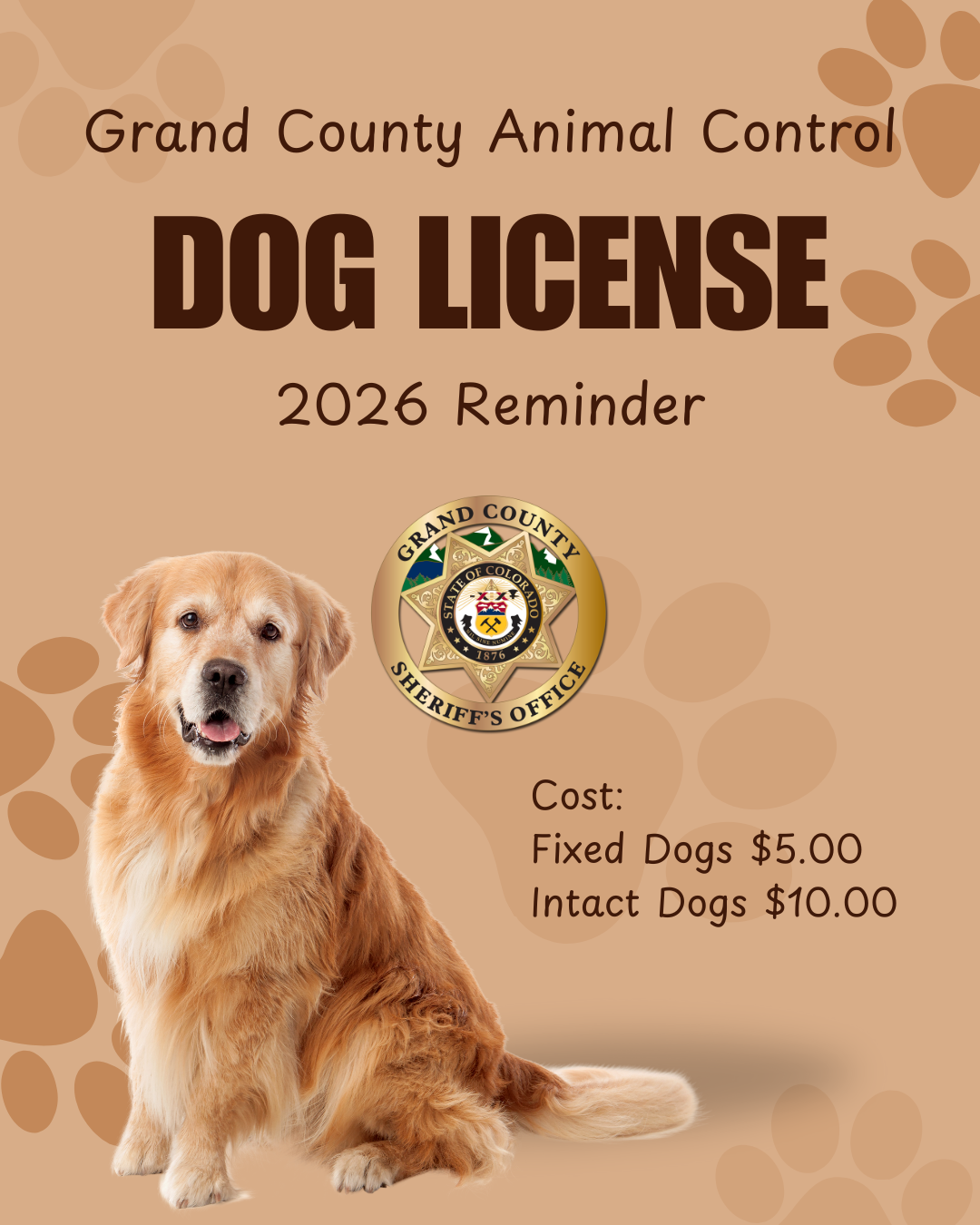 Grand County Animal Control Dog License Reminder 2026