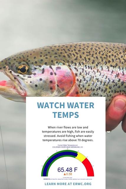 image003 Opens in new window